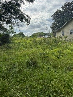 Before photo 1