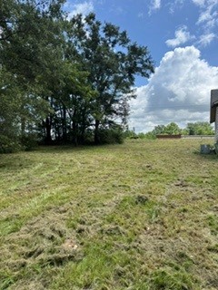 After photo 1